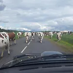 Le Marconnes Oda ve Kahvaltı