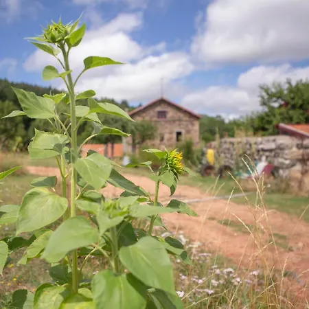 فندق مبيت وإفطار Le Marconnes Saint-Arcons-de-Barges
