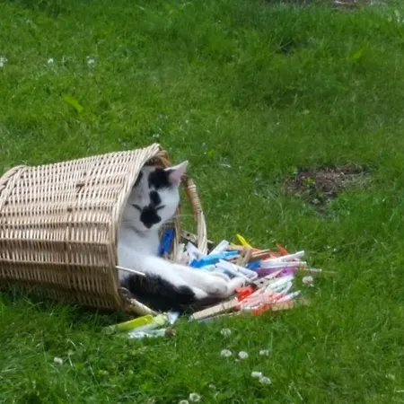 Le Marconnes فندق مبيت وإفطار *