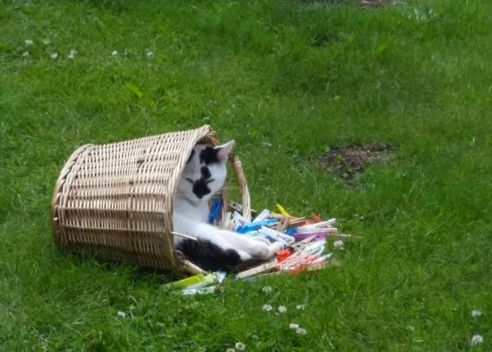 Le Marconnes Bed & Breakfast *