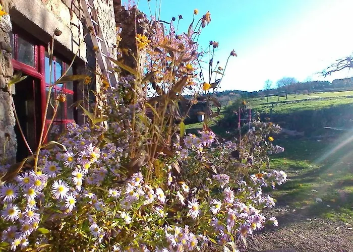 Le Marconnes Bed & Breakfast *